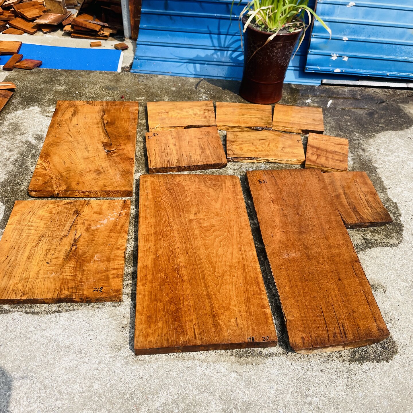 缅甸柚木茶盘料平板干泡料屏风摆件桌面板原木料无拼接茶桌菜板料