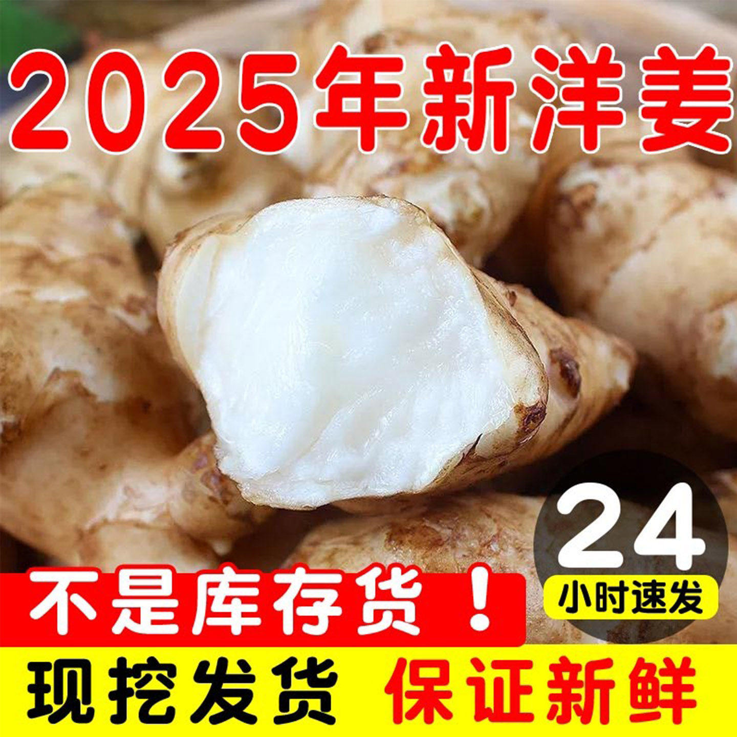 2025年现货洋姜新鲜现挖10斤鬼子姜不辣农家酱菜腌菜泡菜甜阳菊芋