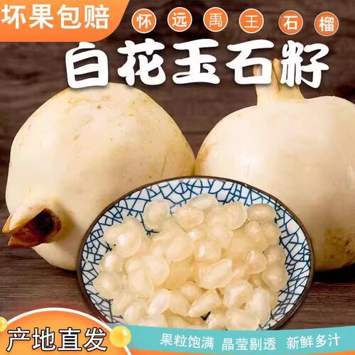 怀远石榴安徽特产白花玉石籽