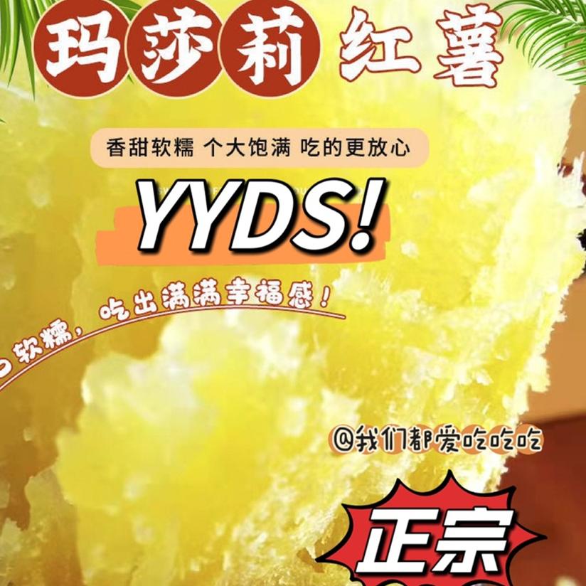 正宗日本玛莎莉红薯新鲜黄金蜜薯糖心农家自种黄心番薯沙地烤地瓜