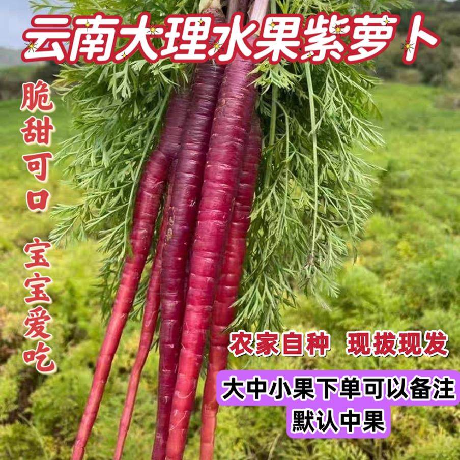 现挖云南大理胡萝卜紫色新鲜花青素紫皮农家水果胡萝卜脆甜生吃9,水产肉类/新鲜蔬果/熟食,萝卜/胡萝卜,淘宝优惠券,粉丝福利购,淘宝优惠卷
