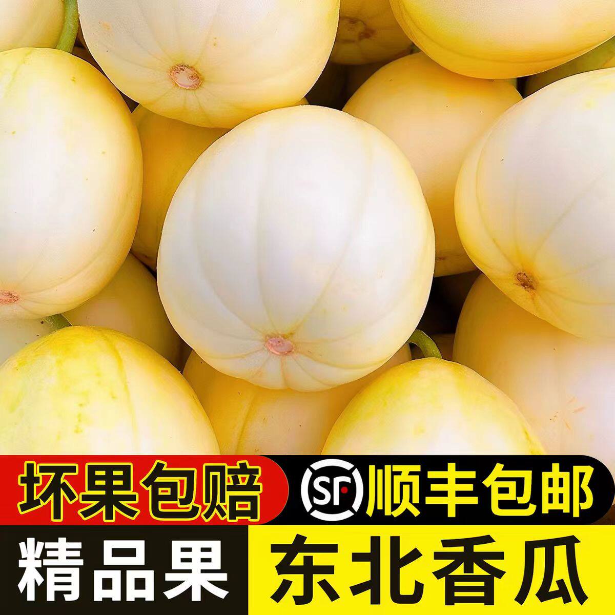 东北大地香瓜白糖罐京蜜甜瓜新鲜当季现摘孕妇水果老式香瓜脆甜蜜