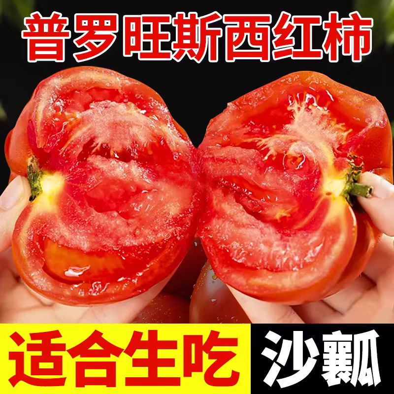 正宗普罗旺斯西红柿沙瓤自然熟