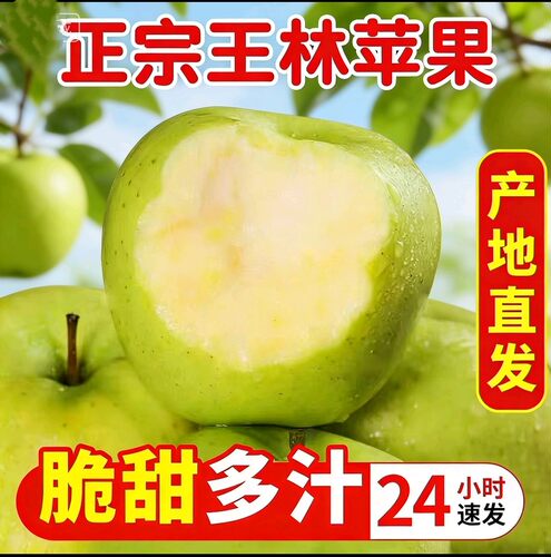 正宗王林苹果当季脆甜青森水蜜桃
