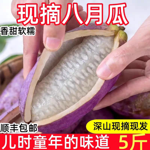 八月炸果水果现摘九月黄新鲜