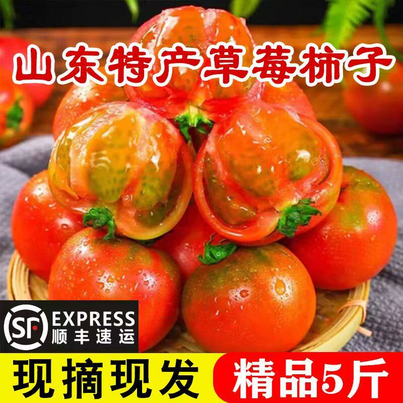 山东正宗草莓西红柿新鲜现摘绿腚柿子水果番茄生吃西红柿顺丰包邮