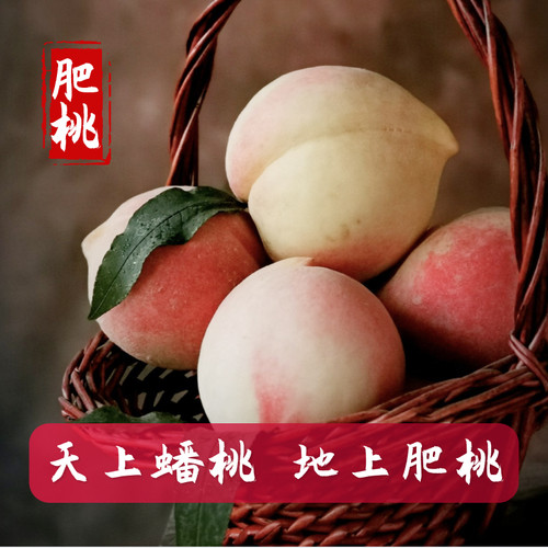 肥城桃大桃子泰安脆甜桃新鲜水果