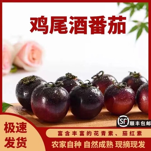 珠吃茄车巧产番克紫珍小