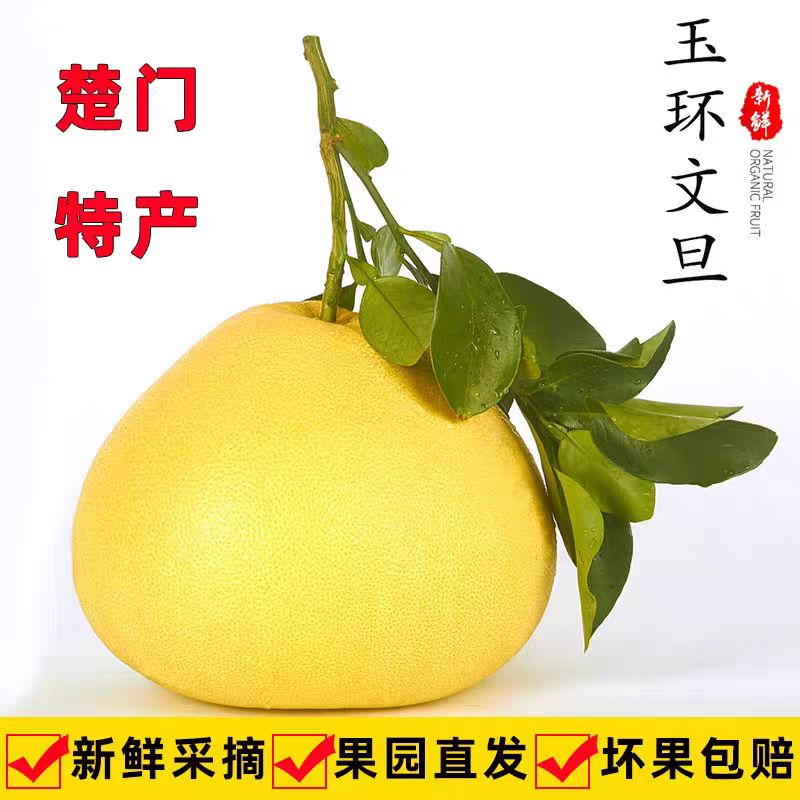单念早熟文旦柚新鲜柚子孕妇水果