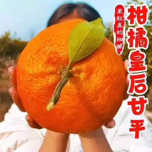 正宗甘平柑橘皇后礼盒当季新鲜水果蜜橘子纯甜小金桔子非粑粑柑