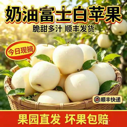 奶油白苹果新鲜现摘应季农产品