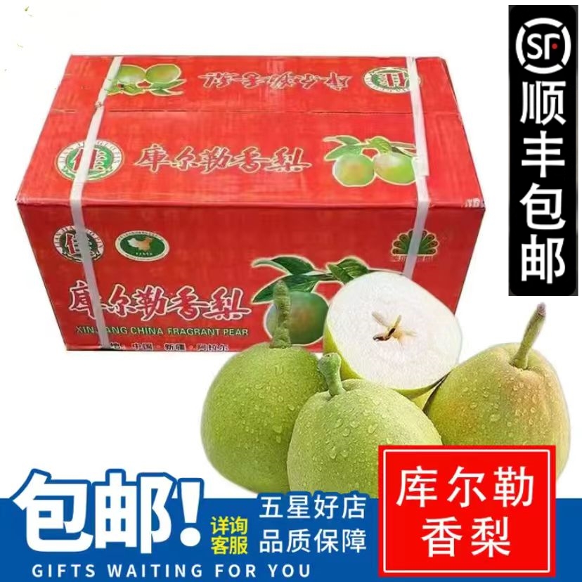 大果全母梨新疆库尔勒香梨