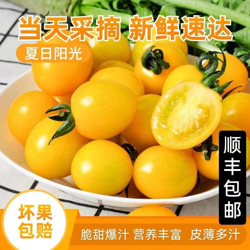 寿光特产夏日阳光黄色小番茄新鲜纯甜自然熟多汁应季水果顺丰包邮
