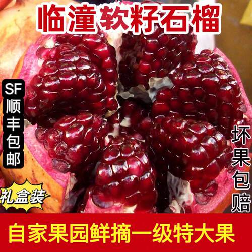 正宗陕西临潼软籽石榴现摘现发顺丰礼盒特级