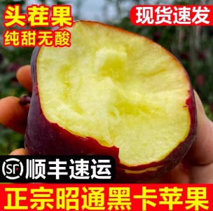 昭通云南水果新鲜现摘孕妇水果图片