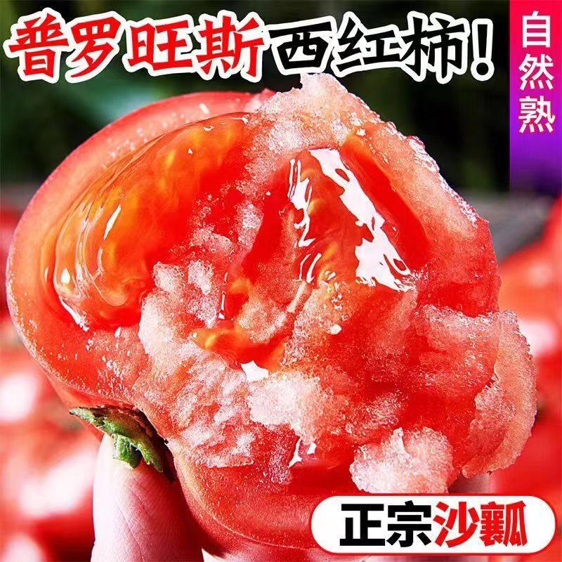 正宗普罗旺斯西红柿新鲜自然熟