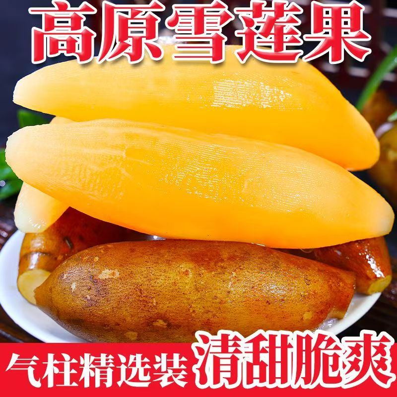 雪莲果新鲜水果当季大果黄心云南天山雪莲果旗舰店整箱现挖现发