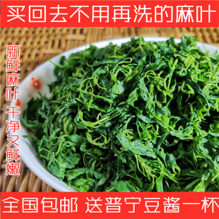 正宗潮汕特产麻叶菜杂咸佐粥潮菜爽口美食烫熟半成品500g真空包装