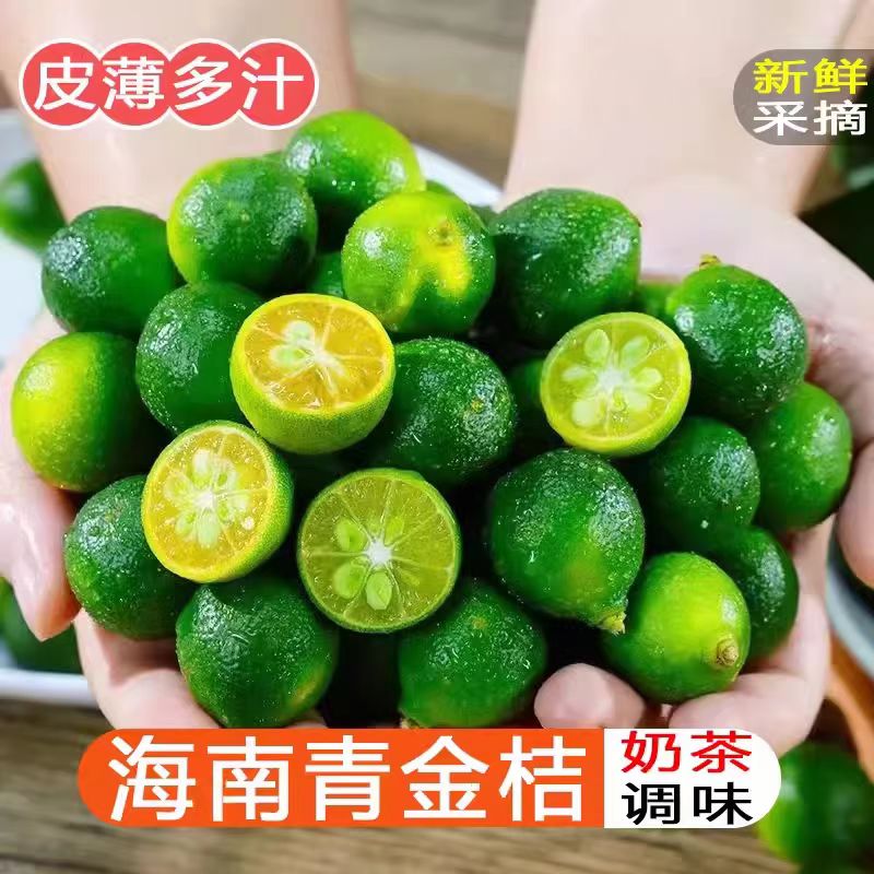 小金桔新鲜水果5斤青金桔当季柠檬奶茶专用小青柠桔整箱百香青柑