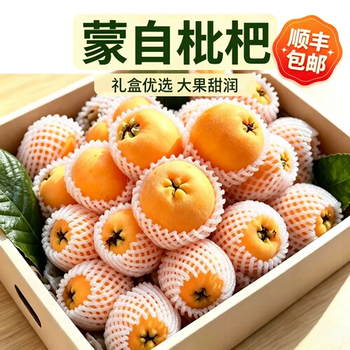 null现货云南蒙自杷枇杷新