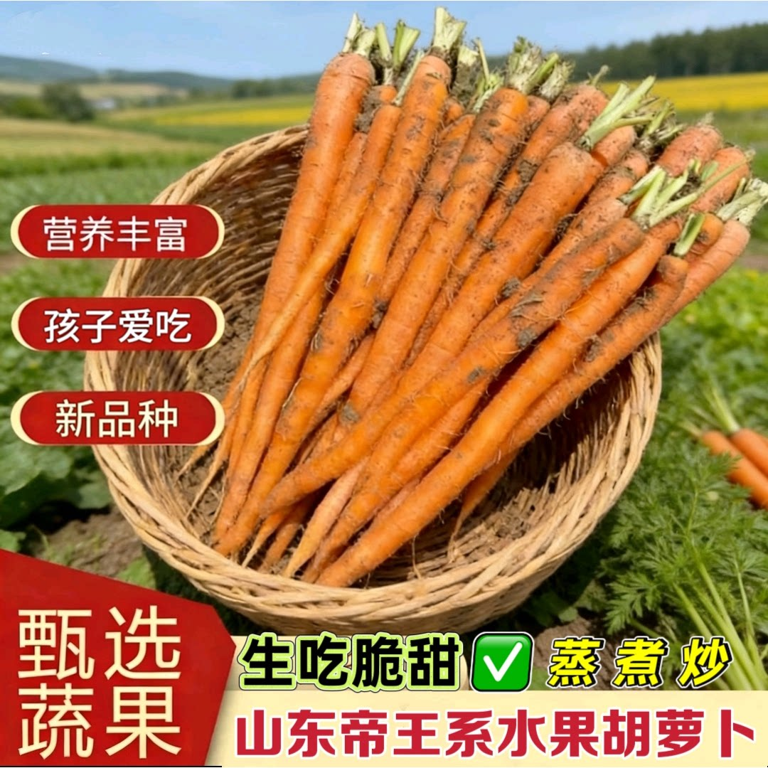 山东帝王系水果胡萝卜现挖新鲜当季生吃黄色萝卜脆甜拇指胡萝卜