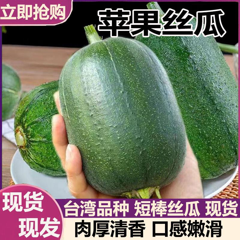 苹果丝瓜新鲜时令蔬菜圆苹果丝瓜图片