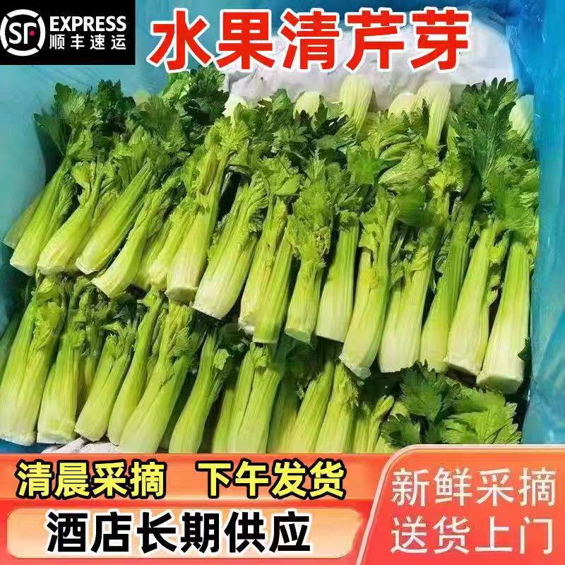 云南新鲜水果清芹可生吃的芹菜当季现摘新鲜网红菜绿色榨汁蔬菜,水产肉类/新鲜蔬果/熟食,叶菜类,淘宝优惠券,粉丝福利购,淘宝优惠卷