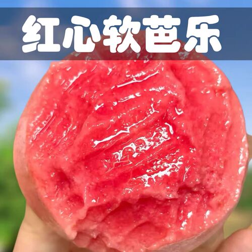 软糯红心芭乐新鲜现摘