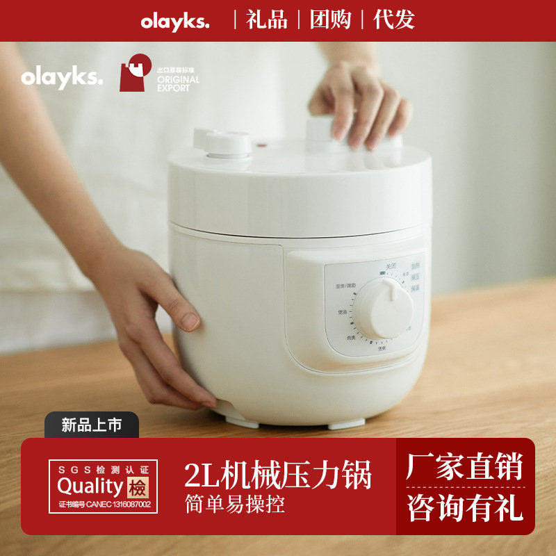 olayks 出口日本原款电压力锅家用小型迷你高压OLAYKS AX30 - 704
