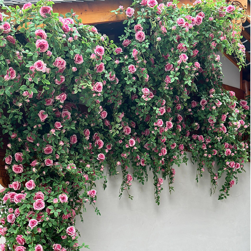 仿真玫瑰花藤条蔓藤管道遮挡缠绕花藤门头装饰造景网红打卡爬藤花,鲜花速递/花卉仿真/绿植园艺,仿真花,淘宝优惠券,粉丝福利购,淘宝优惠卷