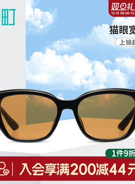 畹町宽框黑色太阳镜
