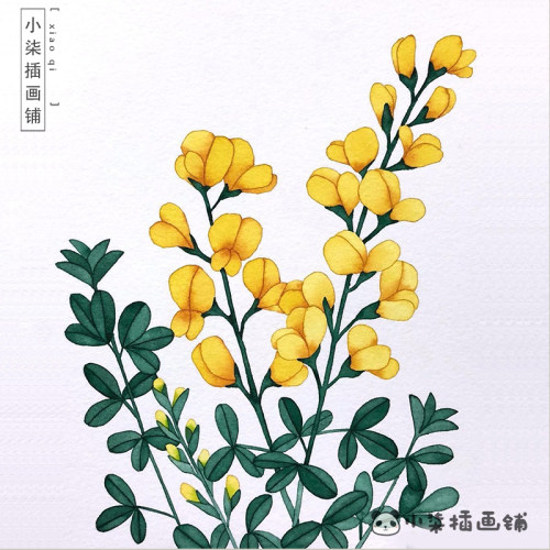 水彩植物素材素材模板 水彩植物素材图片下载 小麦优选