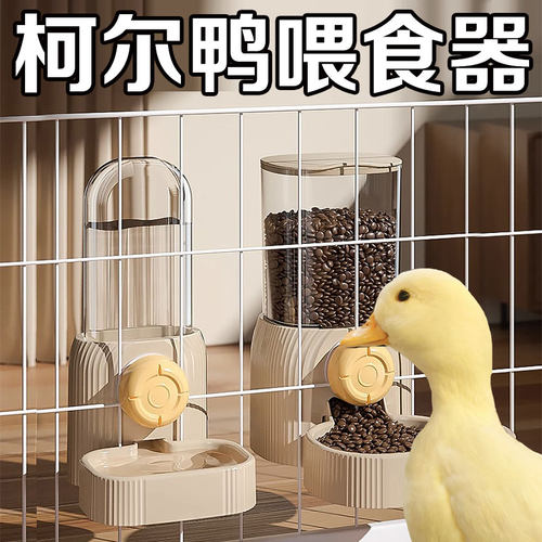 鸭子碗食盆自动饮水机悬挂式柯尔鸭喂食器粮碗小宠防打翻喝水的碗