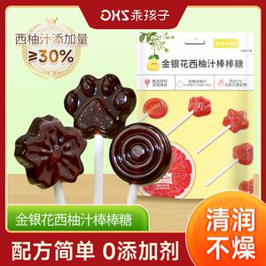 乖孩子金银花西柚汁棒棒糖果无糖高颜值儿童零食开胃无添加润喉糖