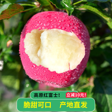 【超脆甜】甘肃静宁苹果红富士礼盒新鲜水果脆冰糖心整箱甜孕妇