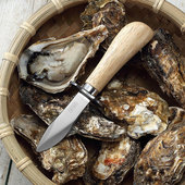 三本樱子生蚝刀撬壳专业商用家用生蚝刀开蚝神器牡蛎海蛎子工扇贝