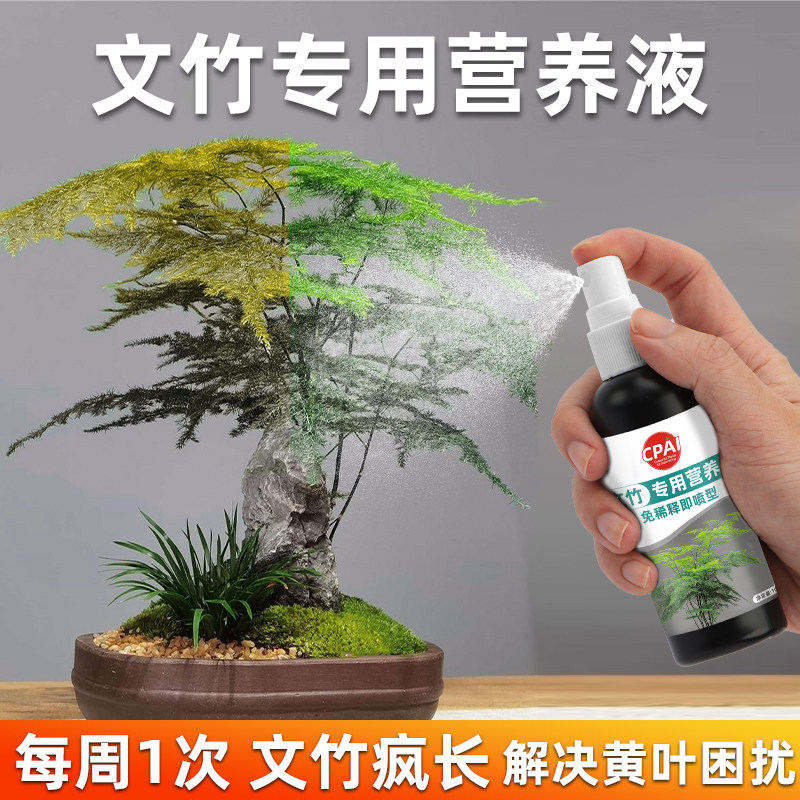 文竹专用营养液治黄叶植物盆栽叶子枯瘦干尖烂根落叶促生长免稀释,鲜花速递/花卉仿真/绿植园艺,家庭园艺肥料,淘宝优惠券,粉丝福利购,淘宝优惠卷