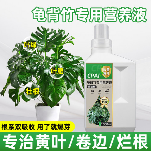 龟背竹营养液专治黄叶烂叶专用肥