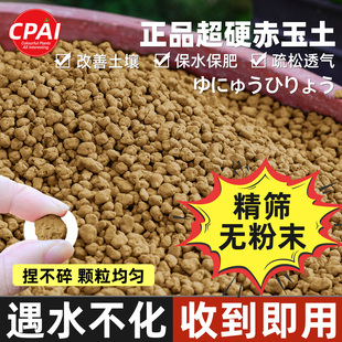 赤玉土三本线正品 硬质颗粒土多肉盆景专用铺面爬宠垫材盆栽营养土