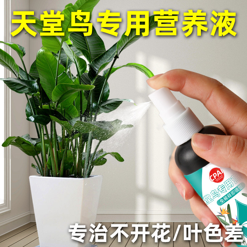 天堂鸟专用营养液高效预防绿植物黄叶黄斑卷边通用免稀释专用肥料,鲜花速递/花卉仿真/绿植园艺,家庭园艺肥料,淘宝优惠券,粉丝福利购,淘宝优惠卷
