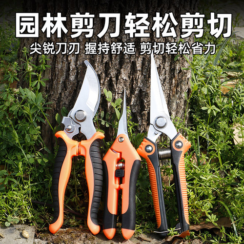 园艺剪修剪果树十年用不坏修枝剪