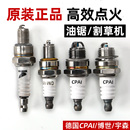 油锯汽油锯割草机火花塞点火器火嘴二冲程四冲程绿篱机打草机通用