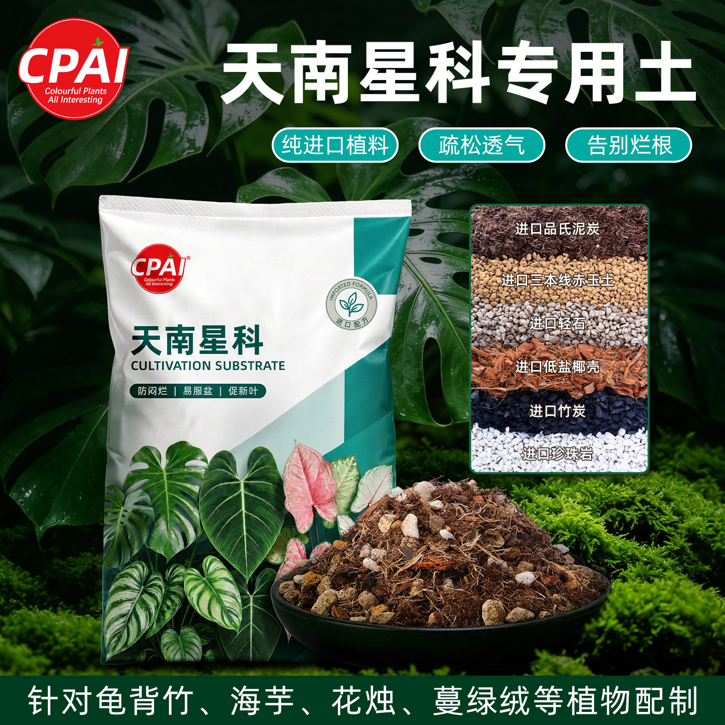 天南星科营养土进口植料科学配比图片