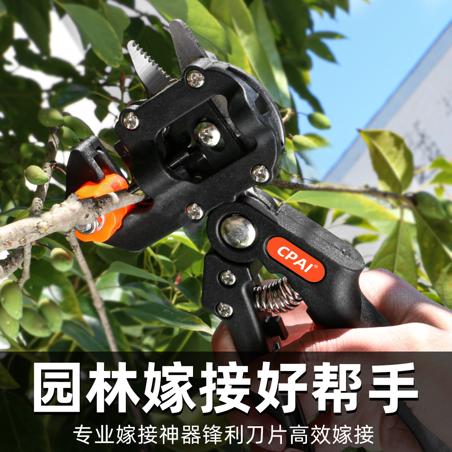 原装进口嫁接剪刀全套成活率99%图片