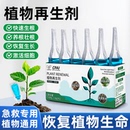 植物再生剂通用型营养液花肥料室内盆栽发财树绿植花卉绿萝水溶肥
