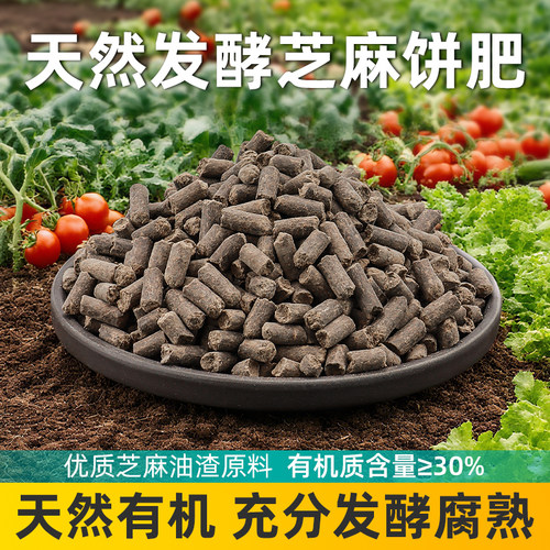 芝麻饼发酵肥料肥效强劲高效吸收