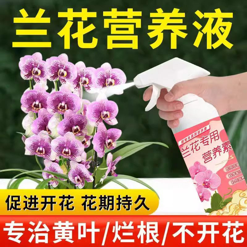 兰花专用营养液免稀释治干尖黄叶