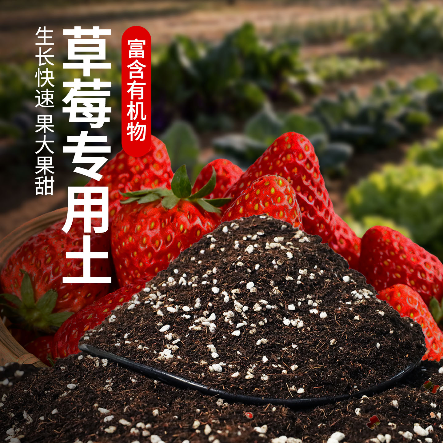 草莓专用营养土疏松透气均衡配比