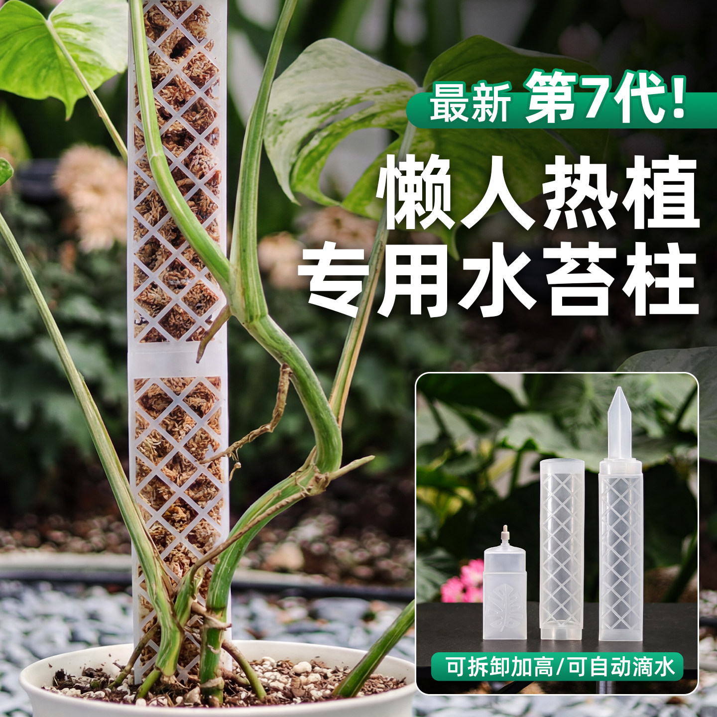 水苔柱龟背竹专用爬藤植物新型可拼接延长调节攀爬柱固定支撑花架