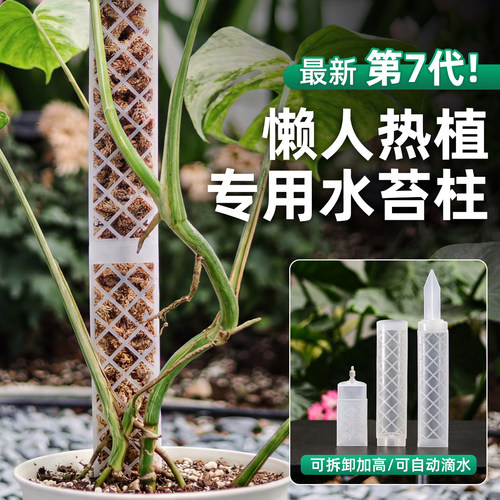 水苔柱龟背竹专用新型可拼接延长